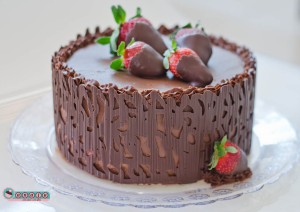 Torta Sensação Combinação perfeita! Chocolate Nobre, de primeira linha e morangos selecionados!